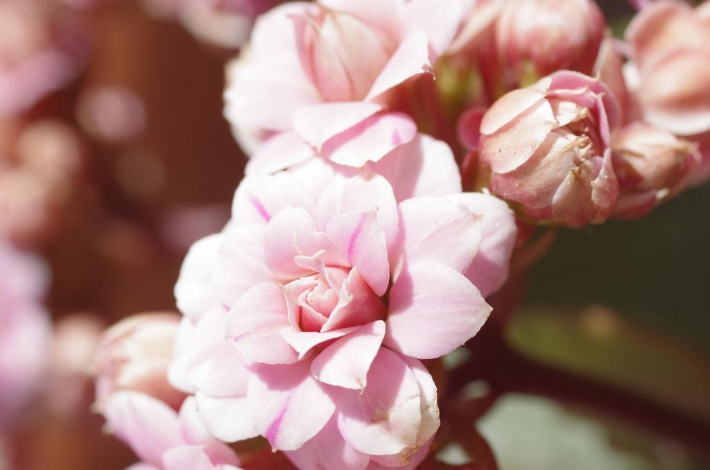 B&B Dai Carari สปิเนอา ภายนอก รูปภาพ
